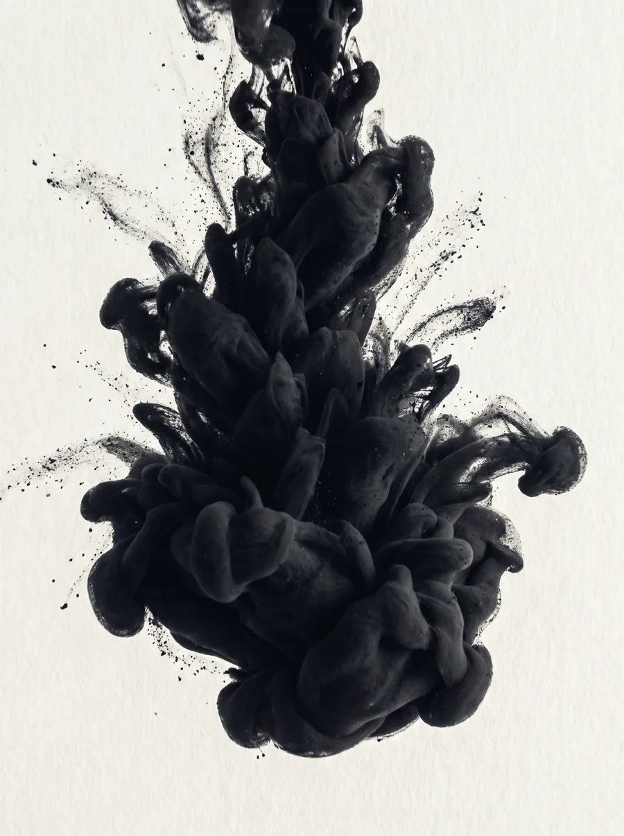 Anthropic, the skeptical founder ink character